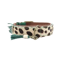 DWAM Halsband Ivy -Honden Benodigdheden Winkel dwam halsband ivy 180676 1000 none