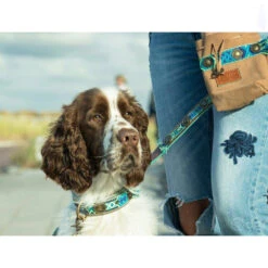 DWAM Hondenriem Boho Juan -Honden Benodigdheden Winkel dwam hondenriem boho juan 135979 1000 none