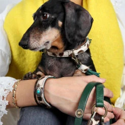 DWAM Hondenriem Ivy -Honden Benodigdheden Winkel dwam hondenriem ivy 180697 1000 none