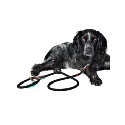 DWAM Hondenriem Long John -Honden Benodigdheden Winkel dwam hondenriem long john 166357 1000 none