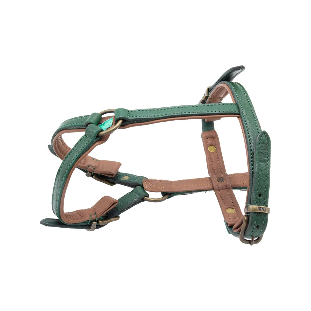 DWAM Hondentuigje Ivy 6 DWAM Hondentuigje Ivy - Afbeelding 6