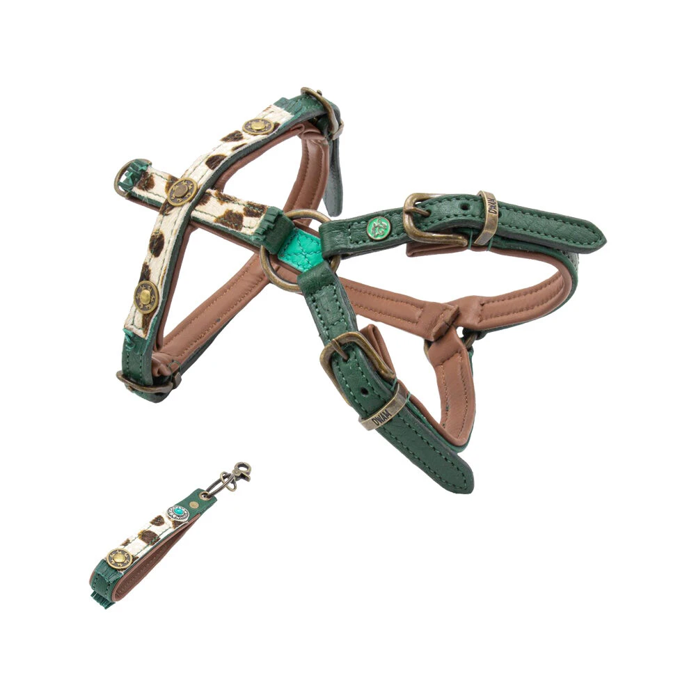 DWAM Hondentuigje Ivy 2 DWAM Hondentuigje Ivy - Afbeelding 2