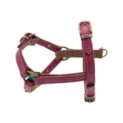 DWAM Hondentuigje Lou Lou -Honden Benodigdheden Winkel dwam hondentuigje lou lou 182155 1000 none