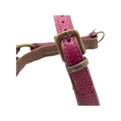 DWAM Hondentuigje Lou Lou -Honden Benodigdheden Winkel dwam hondentuigje lou lou 182158 1000 none