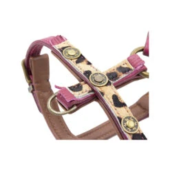 DWAM Hondentuigje Lou Lou -Honden Benodigdheden Winkel dwam hondentuigje lou lou 182161 1000 none