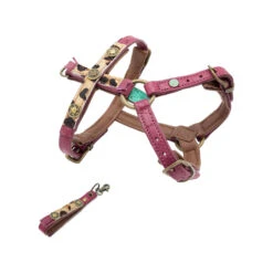 DWAM Hondentuigje Lou Lou -Honden Benodigdheden Winkel dwam hondentuigje lou lou s 109756 1000 none