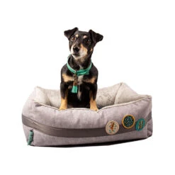 DWAM Jungle Love Mand -Honden Benodigdheden Winkel dwam jungle love mand 186595 1500 none