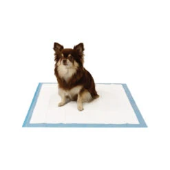 Easypets Trainingspads -Honden Benodigdheden Winkel easypets trainingspads 184186 1000 none