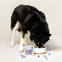 Edgard & Cooper Adult - Rund & Eend - Kuipje 13 Edgard & Cooper Adult - Rund & Eend - Kuipje -Honden Benodigdheden Winkel edgard cooper adult rund eend kuipje 168612 2000 none