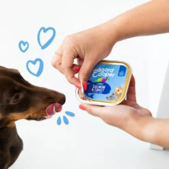 Edgard & Cooper Adult - Zalm & Kalkoen - Kuipje 12 Edgard & Cooper Adult - Zalm & Kalkoen - Kuipje -Honden Benodigdheden Winkel edgard cooper adult zalm kalkoen kuipje 208616 1000 none