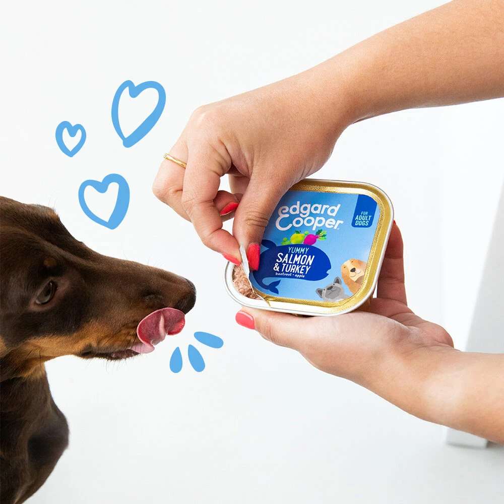 Edgard & Cooper Adult - Zalm & Kalkoen - Kuipje 5 Edgard & Cooper Adult - Zalm & Kalkoen - Kuipje - Afbeelding 5