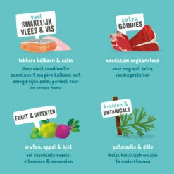 Edgard & Cooper Adult - Zalm & Kalkoen - Kuipje 13 Edgard & Cooper Adult - Zalm & Kalkoen - Kuipje -Honden Benodigdheden Winkel edgard cooper adult zalm kalkoen kuipje 208619 1000 none