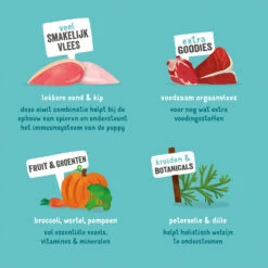 Edgard & Cooper Puppy - Eend & Kip - Kuipje -Honden Benodigdheden Winkel edgard cooper puppy eend kip kuipje 168675 1000 none