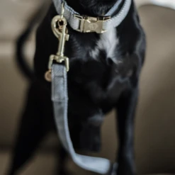 Kentucky Dogwear Hondenlijn Wool -Honden Benodigdheden Winkel ejrjoyb8lNCNJUWqzyDtR4feCTIyNI metaS2VudHVja3ktRG9nd2Vhci1Ib25kZW5saWpuLVdvb2wtbGljaHRibGF1dy1kZXRhaWwucG5n