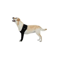 Suitical Recovery Sleeve -Honden Benodigdheden Winkel f26bed68e6fe65ab9b9e697b7ff5505dbcd950b365bb7453896355100ba13361 3