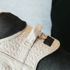Kentucky Dogwear Hondenharnas Body Safe Wool -Honden Benodigdheden Winkel fFHNNjQ5np1lDVQv8HWBzhiEXKRfD0 metaS2VudHVja3ktRG9nd2Vhci1Ib25kZW5oYXJuYXMtQm9keS1TYWZlLVdvb2wtYmVpZ2UtZGV0YWlsLnBuZw