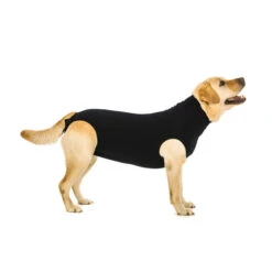 Suitical Recovery Suit Hond - Zwart -Honden Benodigdheden Winkel fa0e13e2f13f2afe2f8a442d3d97741f85bfcf8eec1c0a1780b298b92bca02aa 3