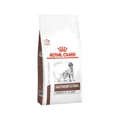 Royal Canin Gastrointestinal Moderate Calorie Hond -Honden Benodigdheden Winkel fd1df88f55b1b6de08dc7f8cbebe908b875b9e75dd85196389c527024a2d32f6 4