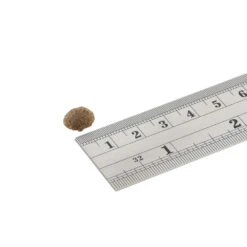 Fish4Dogs Finest Adult Complete - Sardine Kleine Brok -Honden Benodigdheden Winkel fish4dogs finest adult complete sardine kleine brok 160934 1000 none