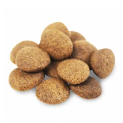 Fish4Dogs Finest Adult Complete - Witvis Grote Brok -Honden Benodigdheden Winkel fish4dogs finest adult complete witvis grote brok 160913 1000 none