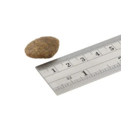 Fish4Dogs Finest Adult Complete - Witvis Grote Brok -Honden Benodigdheden Winkel fish4dogs finest adult complete witvis grote brok 160916 1000 none