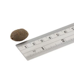 Fish4Dogs Finest Adult Complete - Zalm Grote Brok -Honden Benodigdheden Winkel fish4dogs finest adult complete zalm grote brok 160940 1000 none