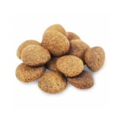 Fish4Dogs Finest Adult Complete - Zalm Grote Brok -Honden Benodigdheden Winkel fish4dogs finest adult complete zalm grote brok 160943 1000 none