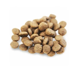 Fish4Dogs Finest Adult Complete - Zalm Kleine Brok -Honden Benodigdheden Winkel fish4dogs finest adult complete zalm kleine brok 160952 1000 none