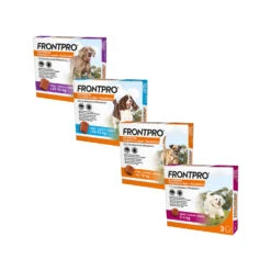 FRONTPRO Kauwtabletten Hond 33 FRONTPRO Kauwtabletten Hond -Honden Benodigdheden Winkel frontpro kauwtabletten hond 219039 1500 none