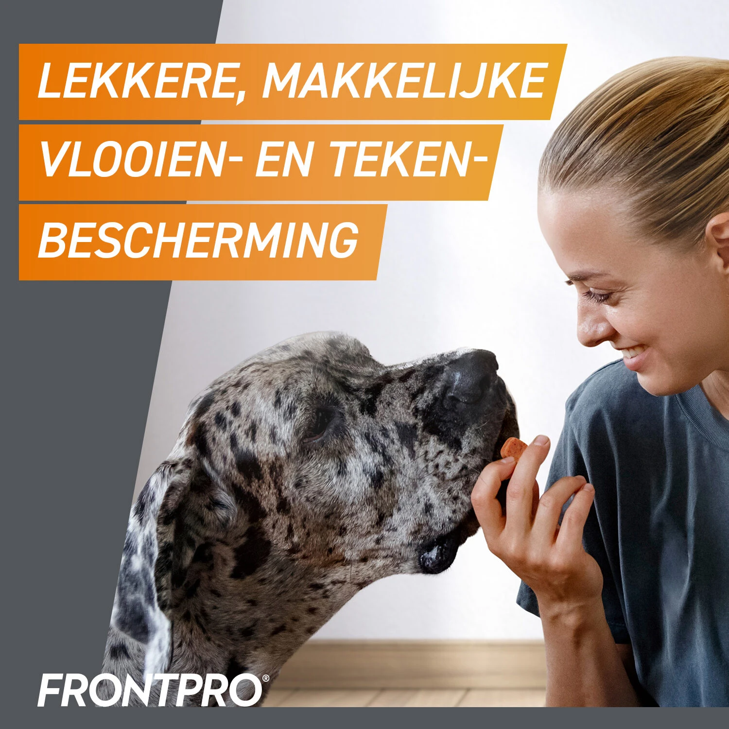 FRONTPRO Kauwtabletten Hond 20 FRONTPRO Kauwtabletten Hond - Afbeelding 20