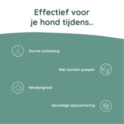 Greenfields Probiotics+ -Honden Benodigdheden Winkel greenfields probiotics 208382 2000 none