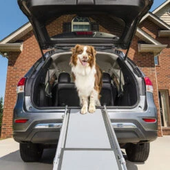 Happy Ride Telescoping Pet Ramp Deluxe 7 Happy Ride Telescoping Pet Ramp Deluxe -Honden Benodigdheden Winkel happy ride telescoping pet ramp deluxe 162499 1000 none