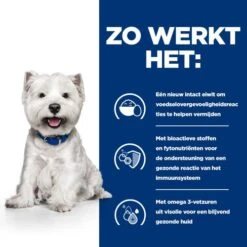 Hill's Derm Complete Mini - Prescription Diet - Canine -Honden Benodigdheden Winkel hills derm complete mini prescription diet canine 211667 0500 none