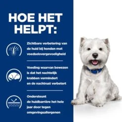 Hill's Derm Complete Mini - Prescription Diet - Canine -Honden Benodigdheden Winkel hills derm complete mini prescription diet canine 211670 0500 none