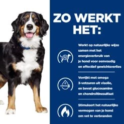 Hill's Metabolic + Mobility - Prescription Diet - Canine -Honden Benodigdheden Winkel hills metabolic mobility prescription diet canine 212762 2000 none