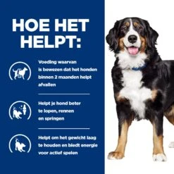 Hill's Metabolic + Mobility - Prescription Diet - Canine -Honden Benodigdheden Winkel hills metabolic mobility prescription diet canine 212765 2000 none