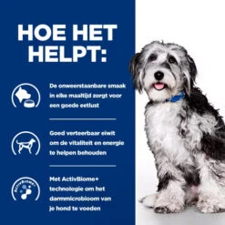 Hill's ON-Care - Prescription Diet - Canine 17 Hill's ON-Care - Prescription Diet - Canine -Honden Benodigdheden Winkel hills on care prescription diet canine 224074 0500 none