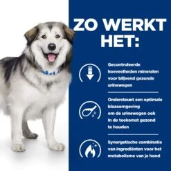 Hill's Prescription Diet - Canine - C/d Multicare + Metabolic -Honden Benodigdheden Winkel hills prescription diet canine cd multicare metabolic 212624 2000 none