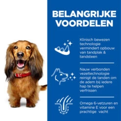 Hill's Science Plan - Adult - Oral Care -Honden Benodigdheden Winkel hills science plan adult oral care 218789 0500 none