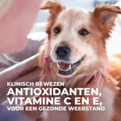 Hill's Science Plan - Adult - Performance -Honden Benodigdheden Winkel hills science plan adult performance 218770 0500 none