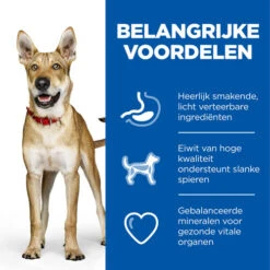 Hill's Science Plan - Adult - Performance -Honden Benodigdheden Winkel hills science plan adult performance 218771 0500 none