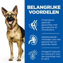Hill's Science Plan - Mature/Adult - Large -Honden Benodigdheden Winkel hills science plan matureadult large 218625 0500 none