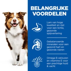 Hill's Science Plan - Mature/Adult - Medium - Lamb & Rice -Honden Benodigdheden Winkel hills science plan matureadult medium lamb rice 218554 0500 none