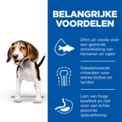 Hill's Science Plan - Medium Puppy -Honden Benodigdheden Winkel hills science plan puppy medium lam rijst 218476 0500 none