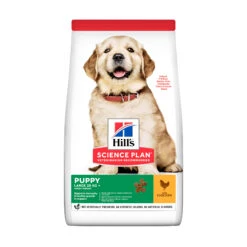 Hill's Science Plan - Large Puppy -Honden Benodigdheden Winkel hills science plan puppy healthy development large 150503 2000 none