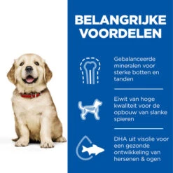 Hill's Science Plan - Large Puppy -Honden Benodigdheden Winkel hills science plan puppy large chicken 218508 0500 none