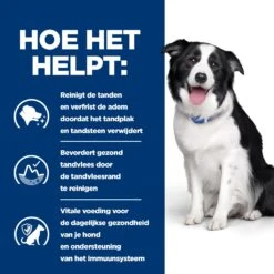 Hill's T/d Dental Care - Prescription Diet - Canine -Honden Benodigdheden Winkel hills td dental care prescription diet canine 218116 2000 none