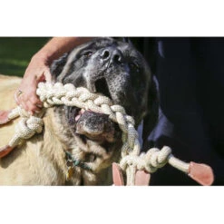 HuggleHounds Rope Knotties Monkey -Honden Benodigdheden Winkel hugglehounds rope knotties monkey 214157 0500 none