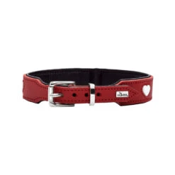 Hunter Collar Love -Honden Benodigdheden Winkel hunter collar love 223466 1000 none