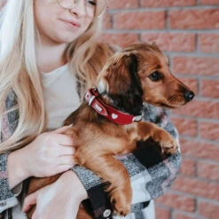 Hunter Collar Love -Honden Benodigdheden Winkel hunter collar love 223472 1000 none